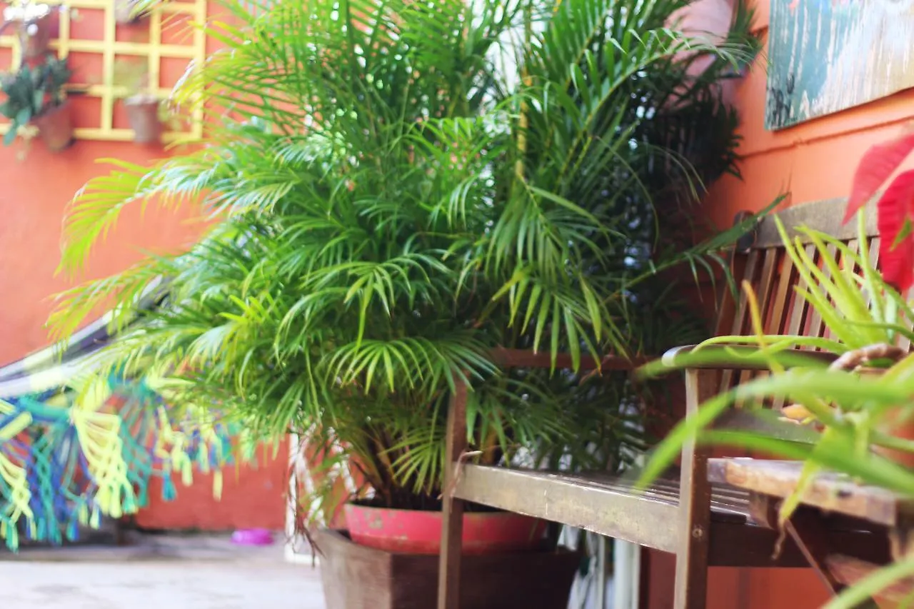Estacao Do Mangue - Albergue E Pousada Recife Hostel